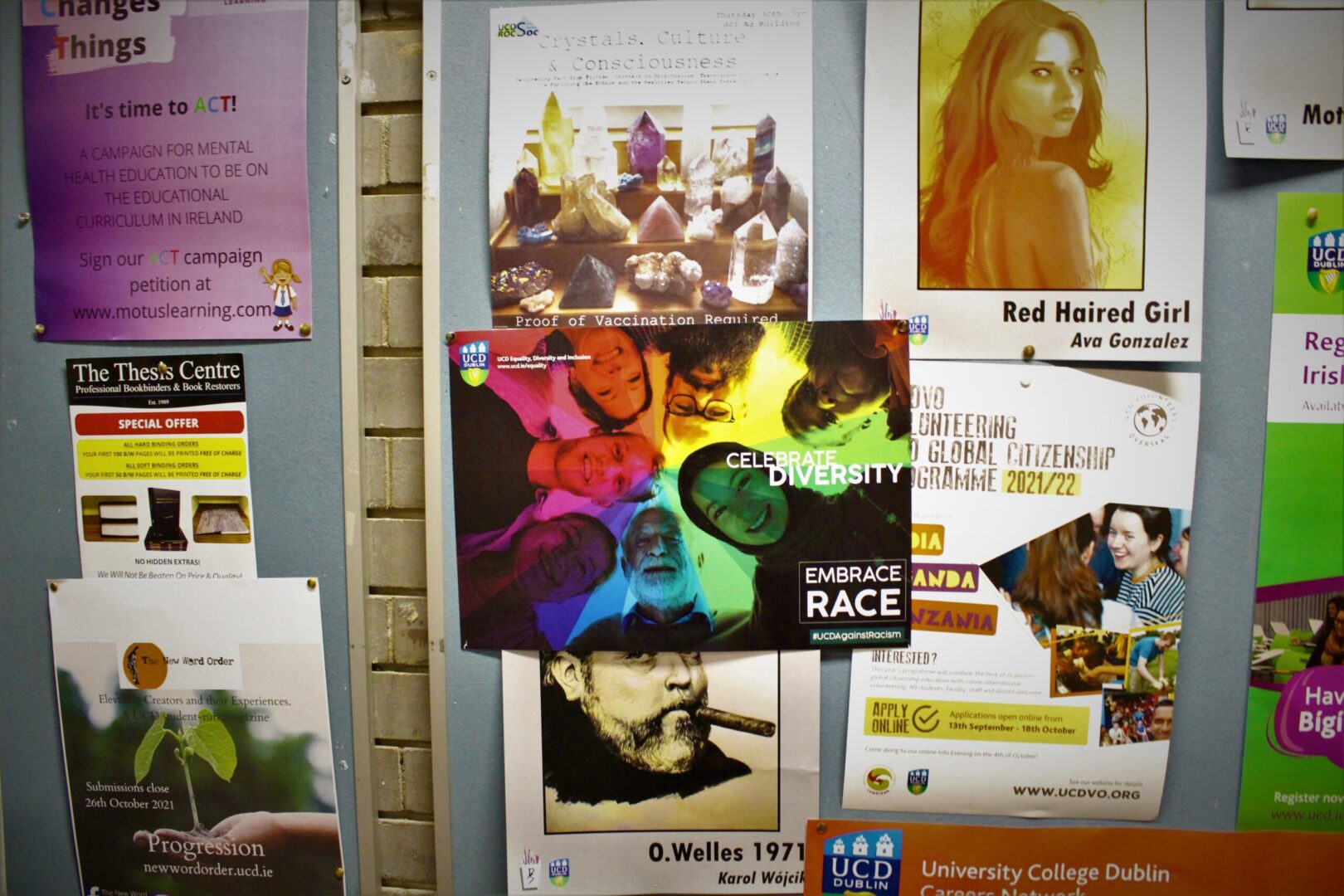 'Embrace Race' Poster