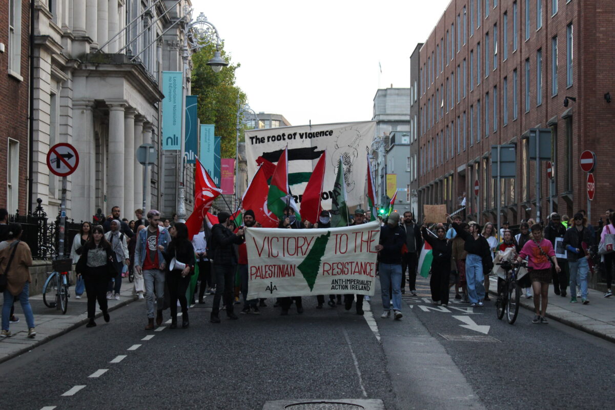 Protest marching down Kildare Street with Palestinian flags.