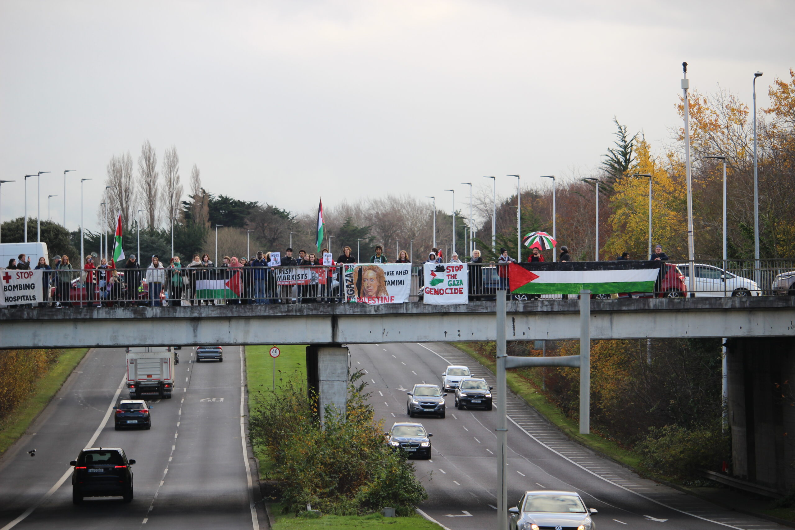 UCDSU N11 Flyover Protest - Photo Credit: Hugh Dooley - (The College Tribune).