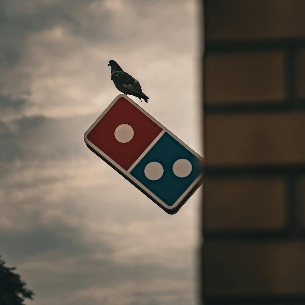 pigeon perching on the dominos pizza sign