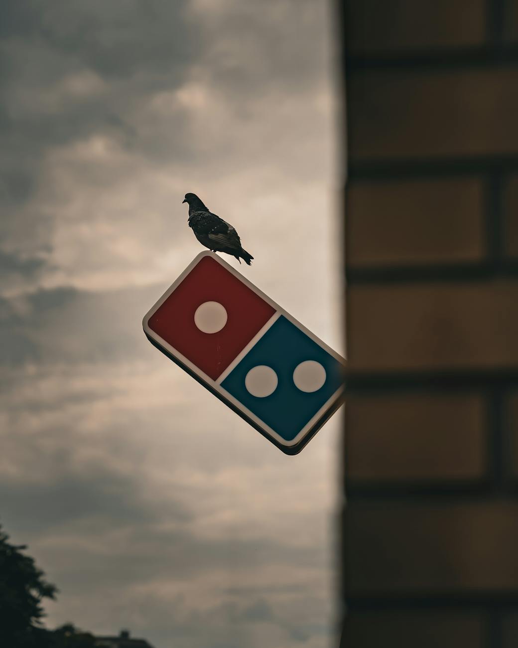 pigeon perching on the dominos pizza sign